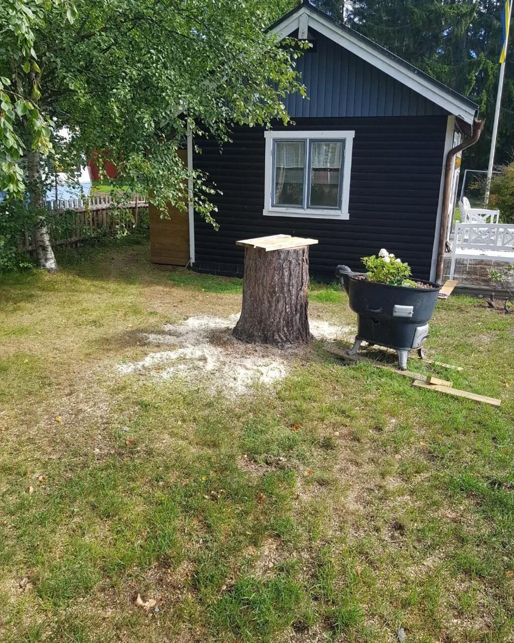 Arborist utför trädvård i Östersund