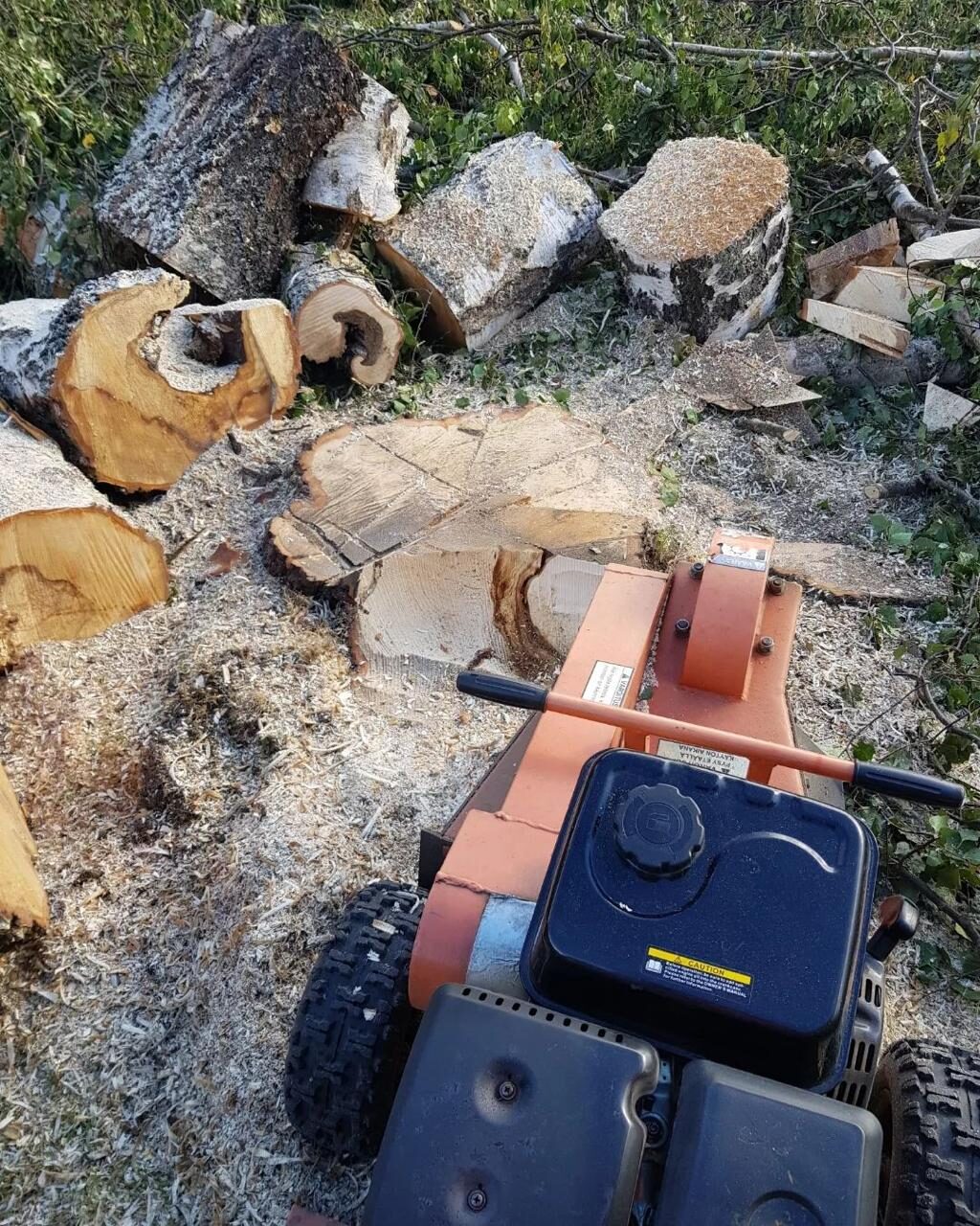 Stubbfräsning med maskin i Östersund