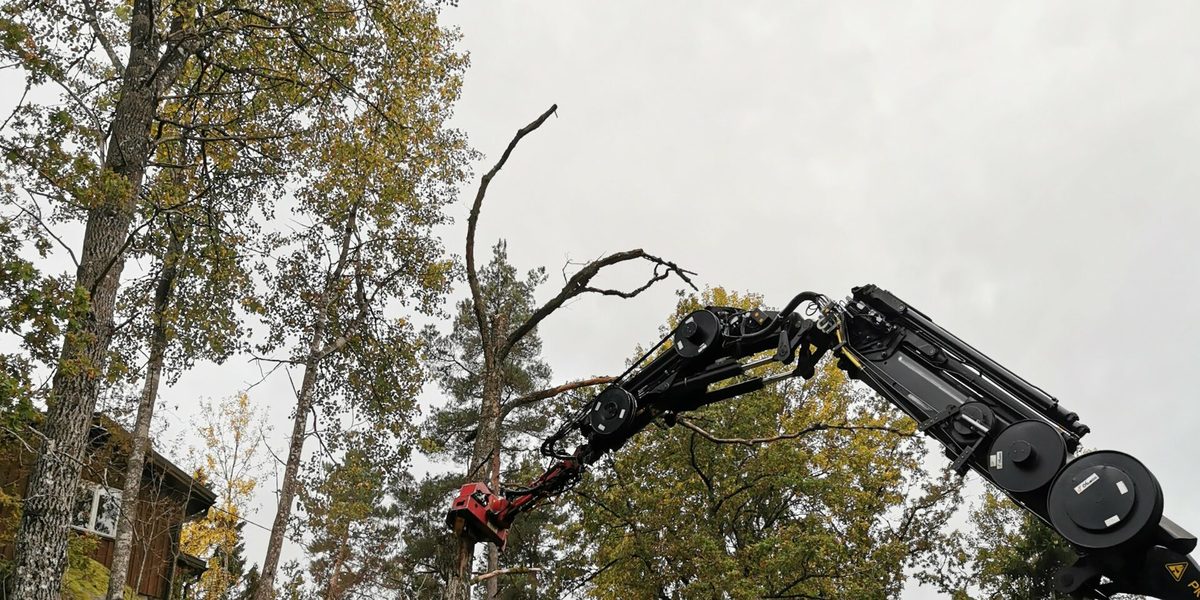 Kranarm sträcker sig upp mot en torrgran intill ett fritidshus